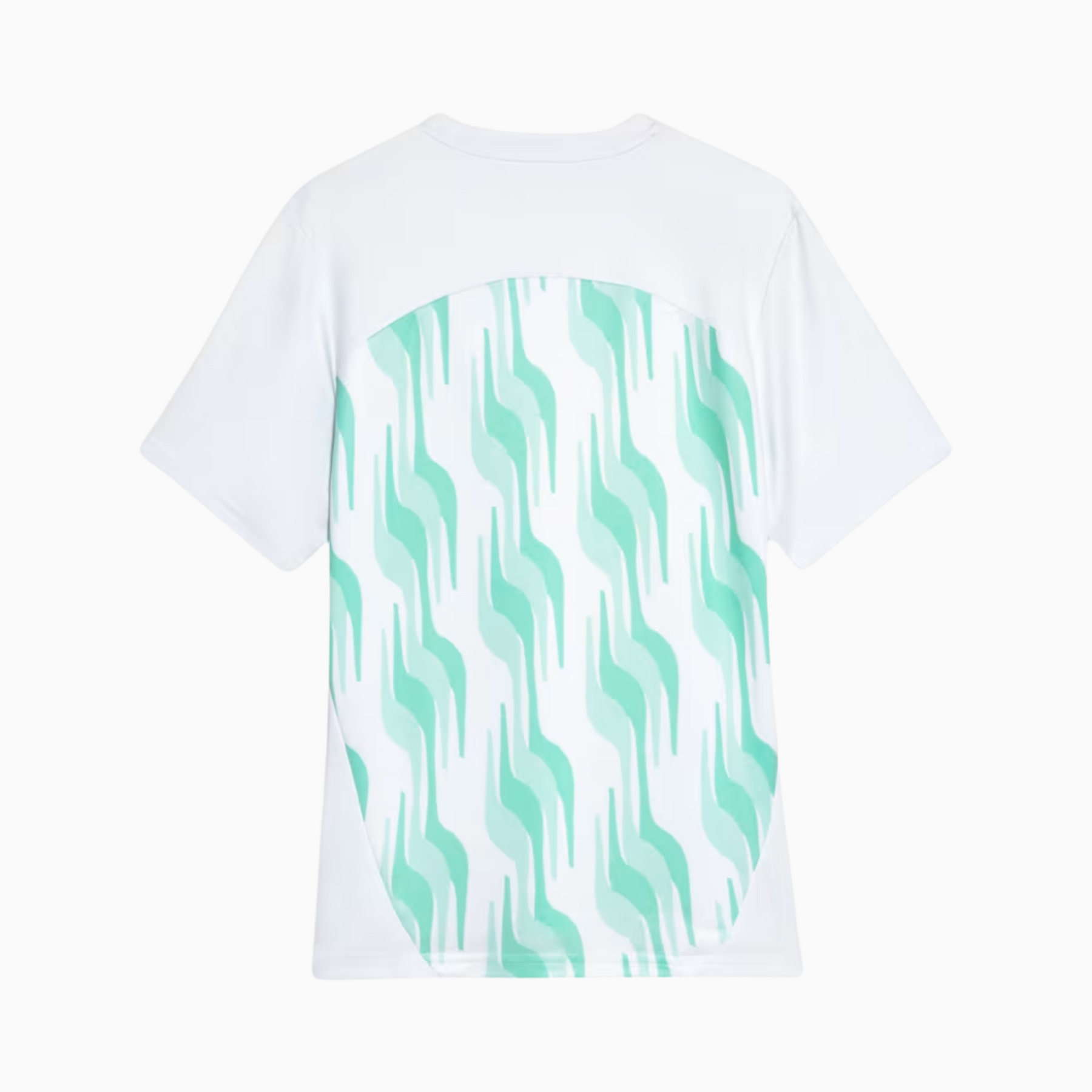 Camisa Palmeiras 2025/26 Pré-Jogo