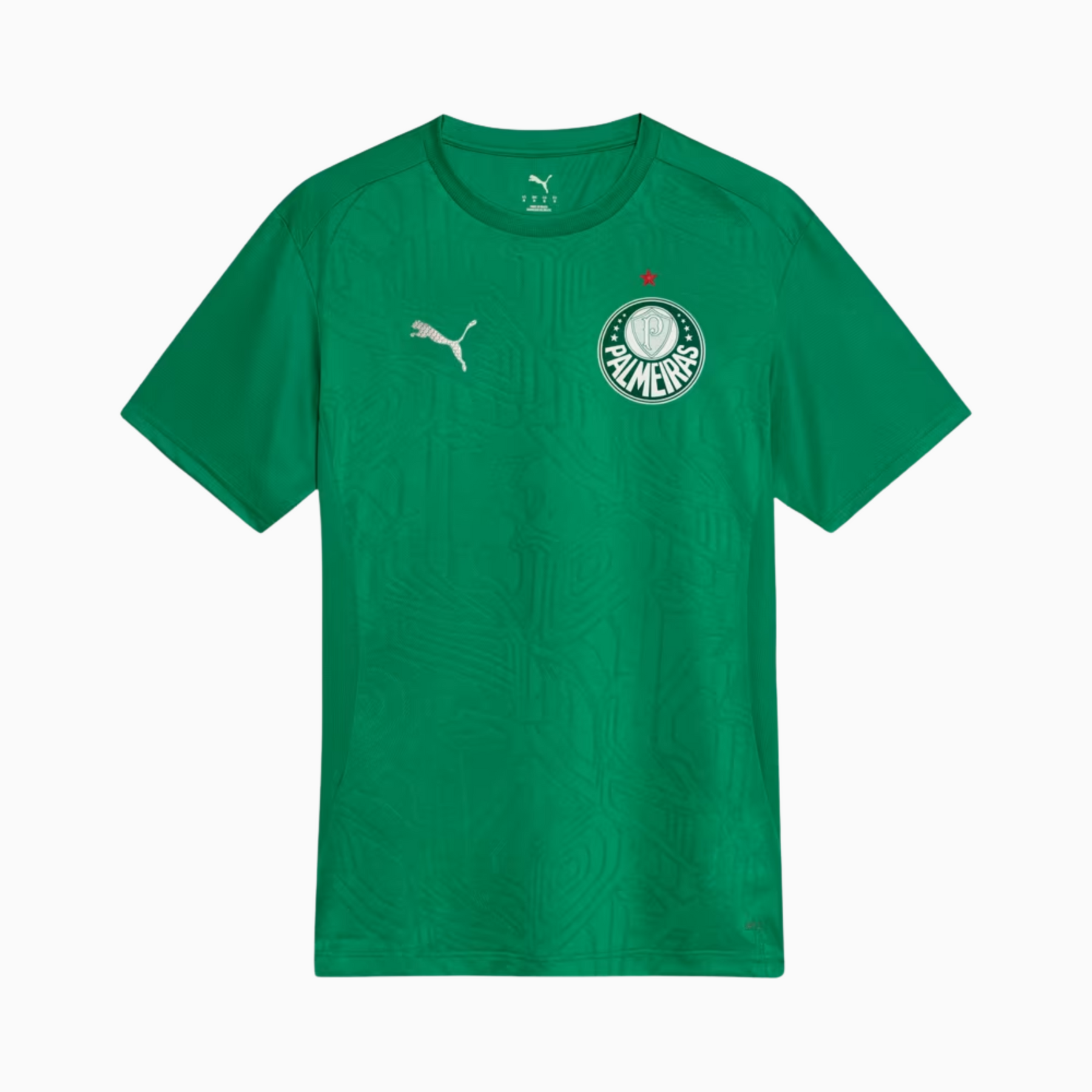 Camisa Palmeiras 2025 – Treino