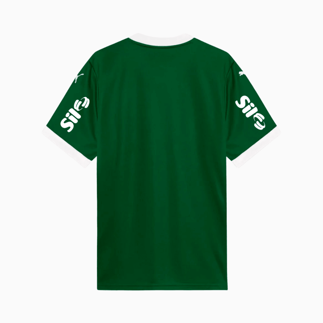 Camisa Palmeiras 2025/26 I Com Patrocínios