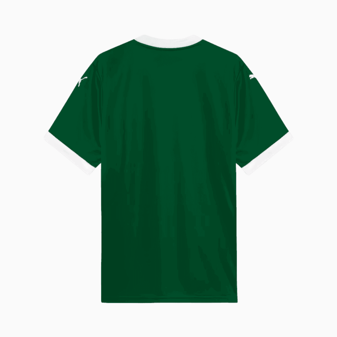 Camisa Palmeiras 2025/26 I - Richard Rios N° 8