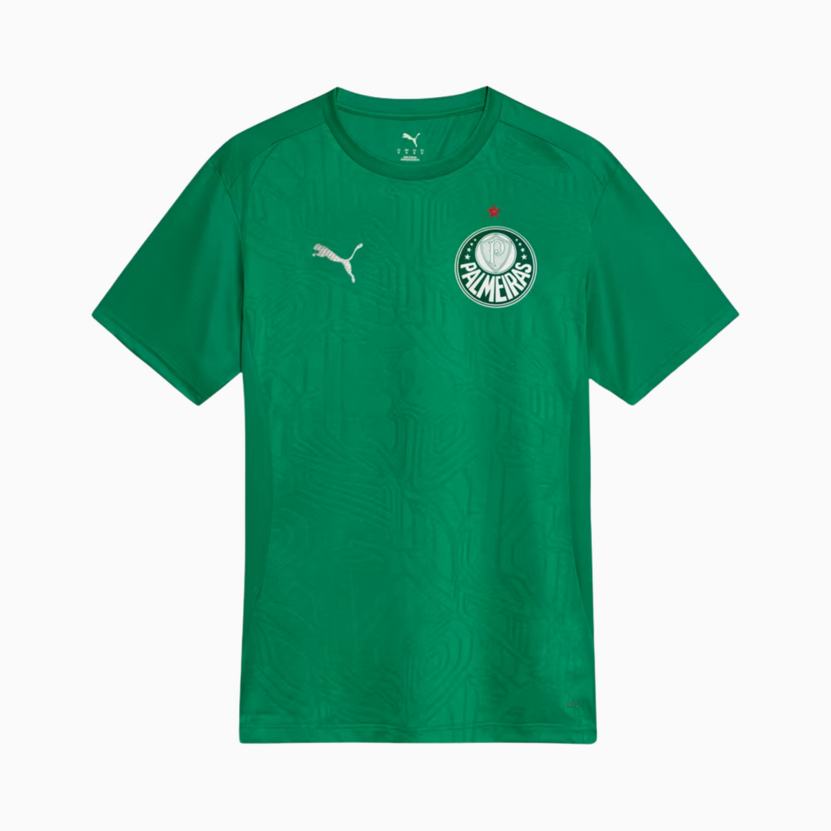 Camisa Palmeiras 2025 – Treino