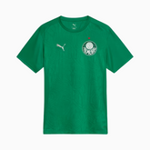 Camisa Palmeiras 2025 – Treino