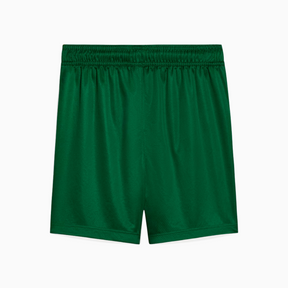 Shorts Palmeiras 2025 II – Torcedor