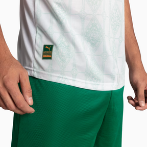 Camisa  Palmeiras 2025/26 II Jogador
